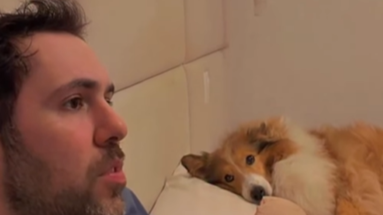Cachorrinha 'se antecipa' e encanta a web com gesto de carinho