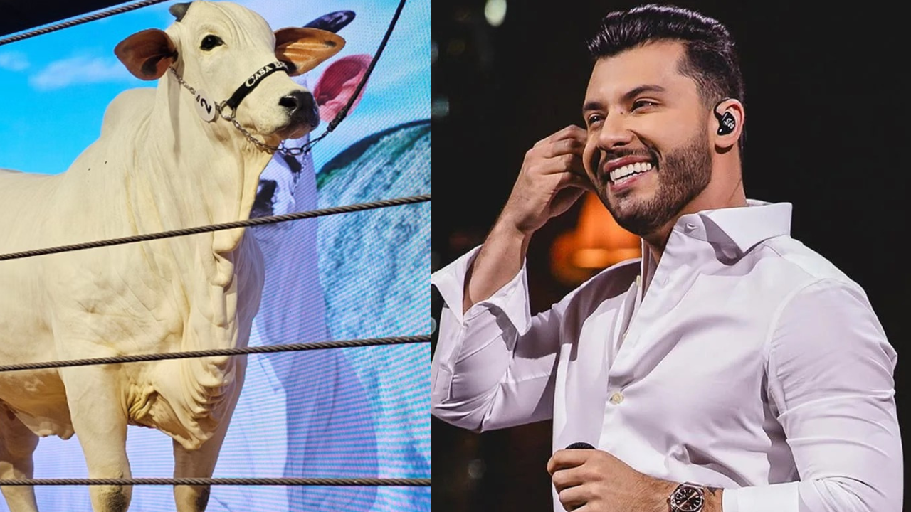 Murilo Huff entra para o grupo de proprietários da vaca mais cara do mundo