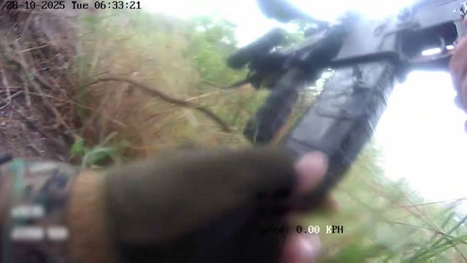 Vídeos mostram resgate de policial e agentes baleados em mata durante operação no Rio