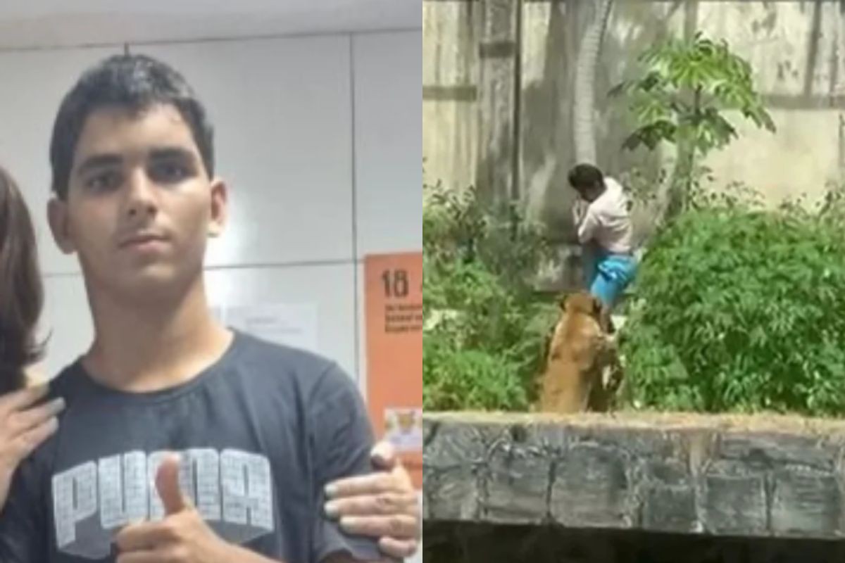 Jovem que foi atacado por leoa em zoologia tinha transtornos mentais