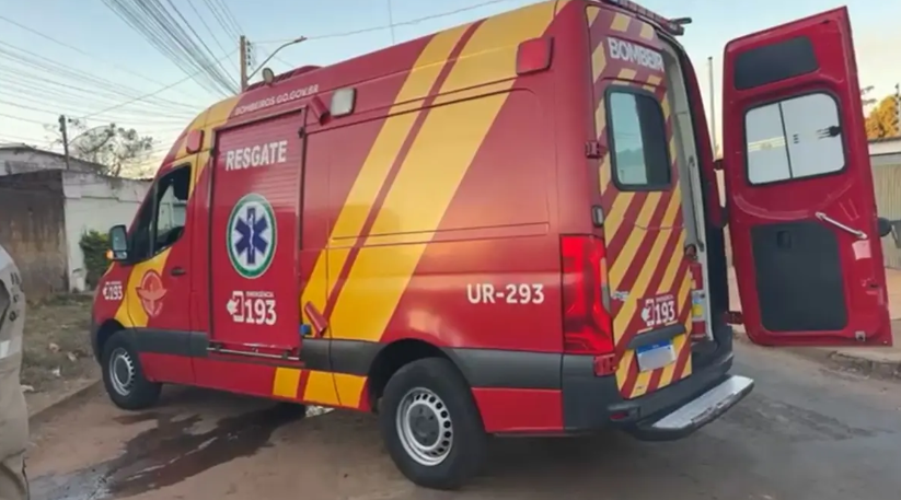 Homem morre após ataque de marimbondos em Aparecida
