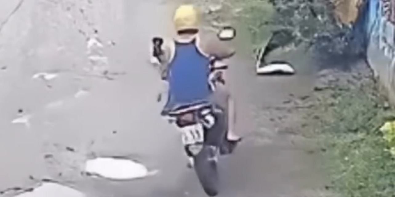 Homem é preso após atropelar cachorro e não prestar ajuda; imagens de câmera mostram acidente