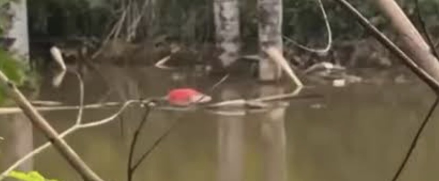 Corpo não identificado é retirado de lago no bairro Alvorada, em Senador Canedo