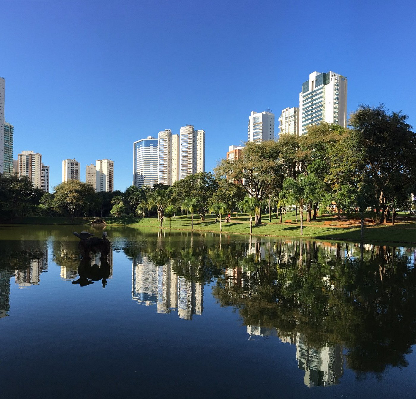 Confira os horários de funcionamento do que abre em Goiânia no Ano Novo