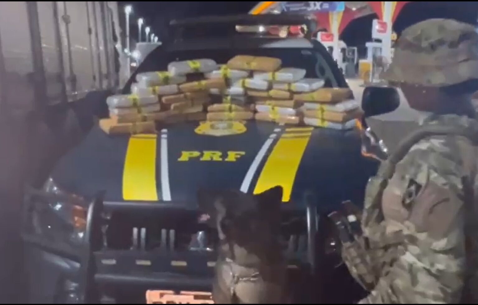 PRF apreende 30 kg de maconha skunk com cães farejadores na GO-070