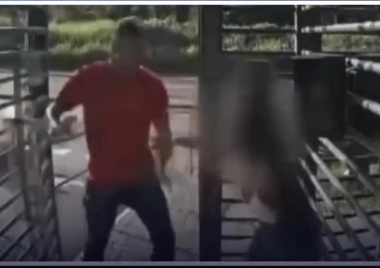 Câmeras registram agressão de ex-namorado contra jovem na portaria de condomínio em SP