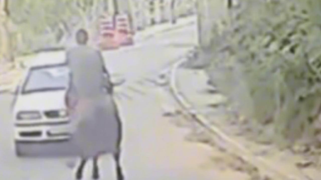 Vídeo: Homem a cavalo se choca com cavalo em acidente inusitado