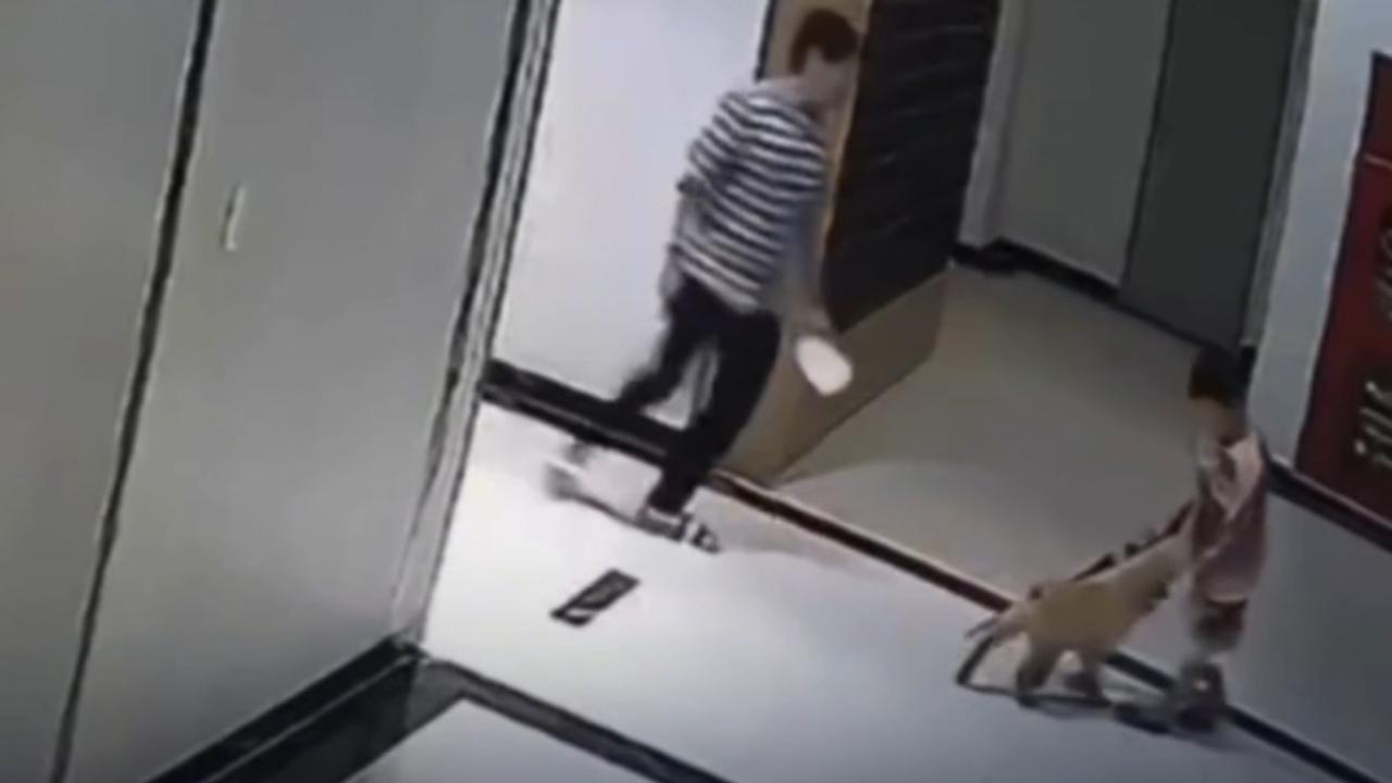 Vídeo: Chute em filhote provoca briga entre moradores em prédio residencial
