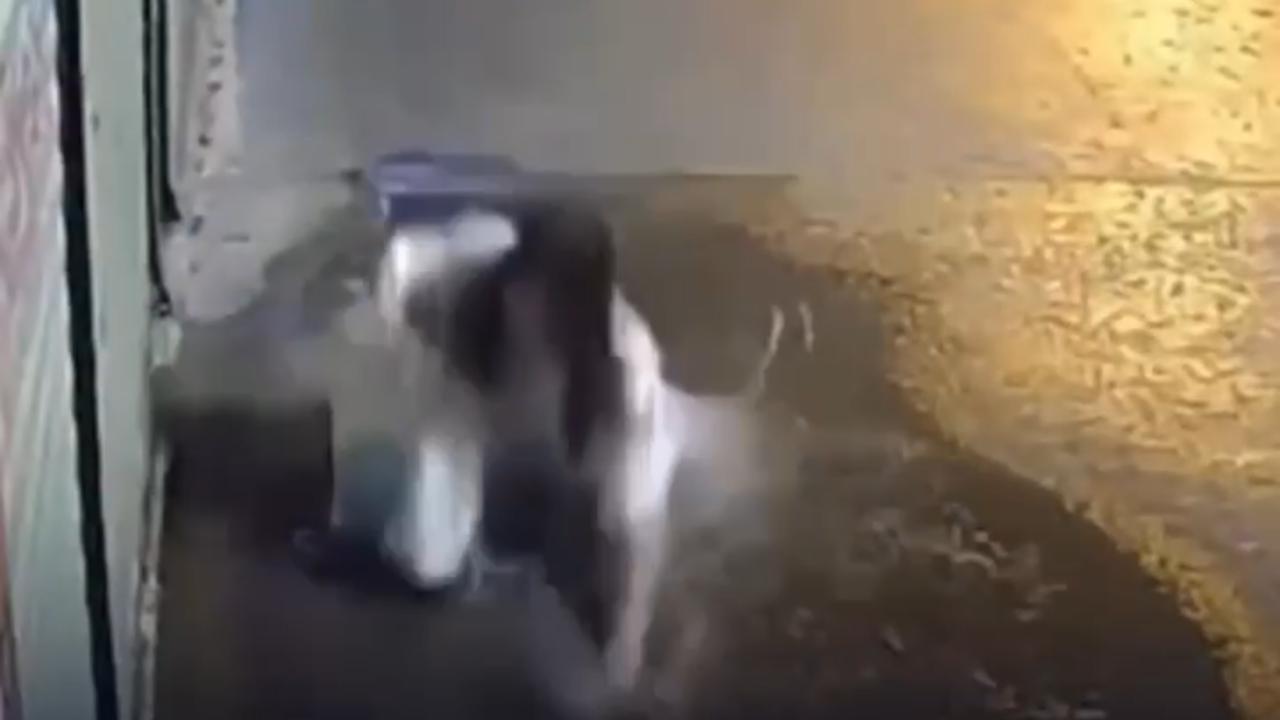Vídeo: Mulher cai em bueiro após andar distraída no celular