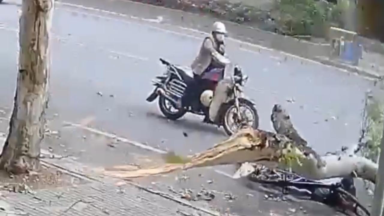 Vídeo: Galho de árvore atinge ciclista após ventos fortes