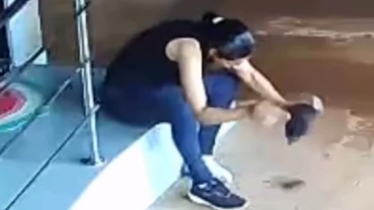 Vídeo: Jovem encontra sapo dentro do tênis e reação viraliza nas redes