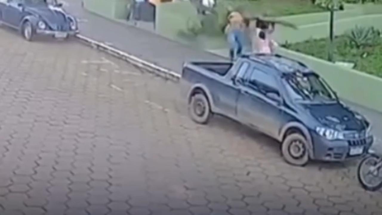 Vídeo: Galho de árvore atinge mulher em praça e quase atinge criança