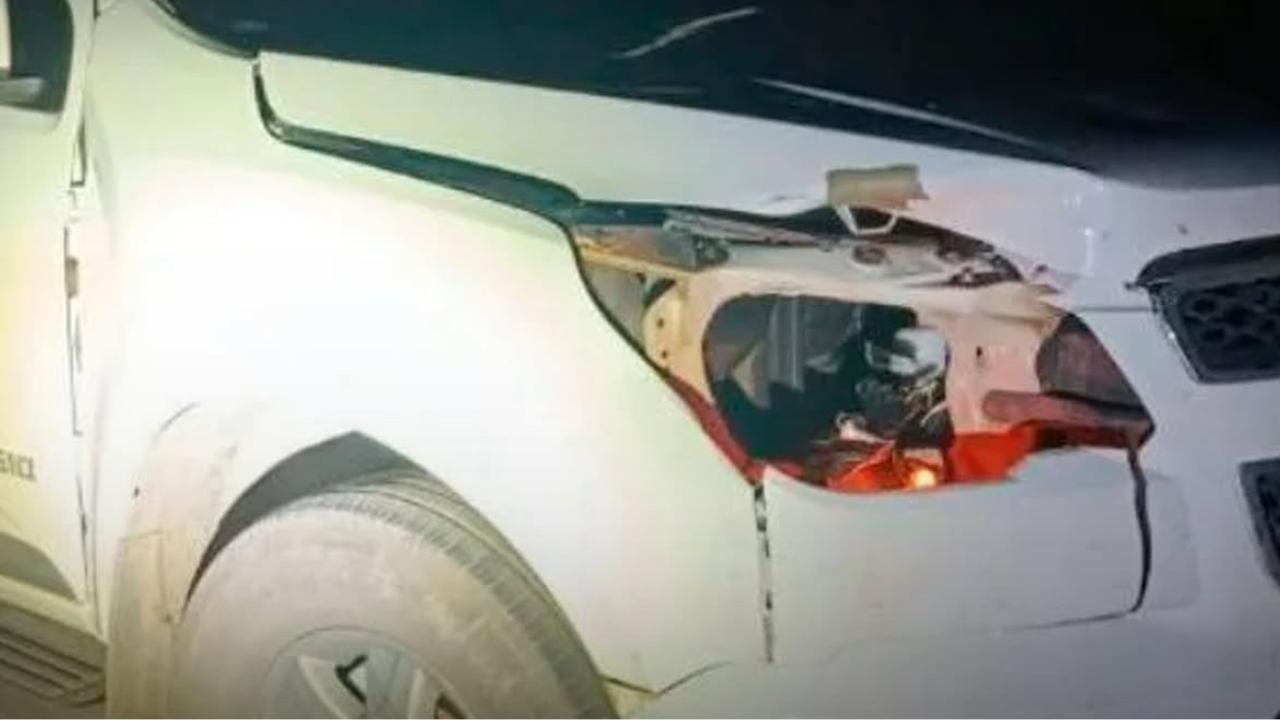 Mulher fica ferida após acidente envolvendo bovino na GO-222 em Anápolis