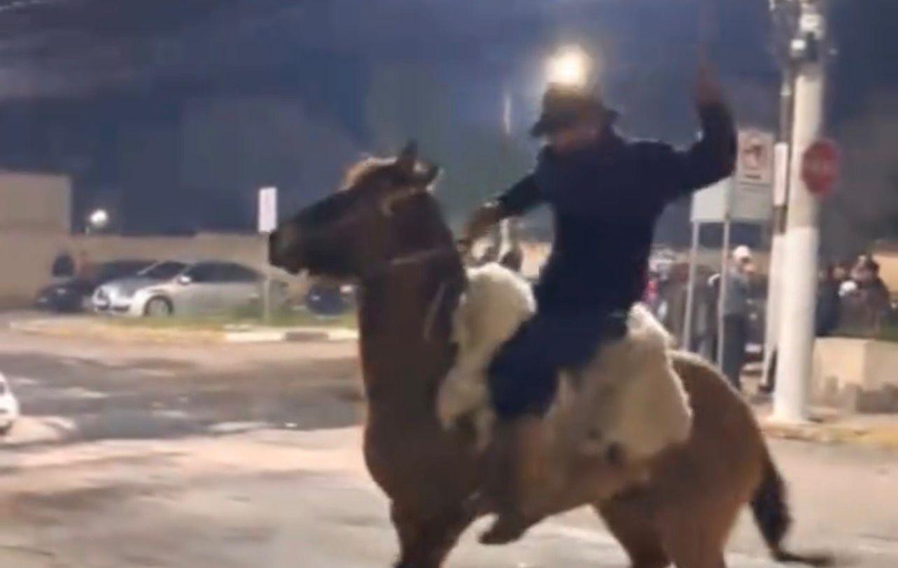 Homem é flagrado após agredir cavalo; Brigada Militar intervém