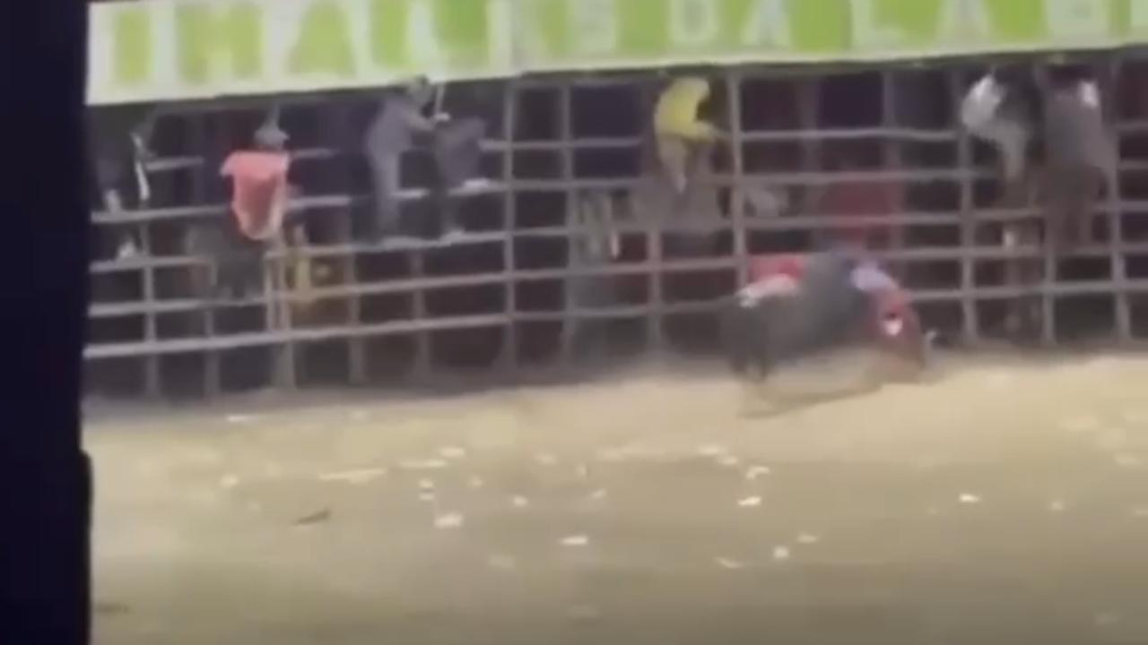 Vídeo: Homem morre após ser atacado por touro durante tourada