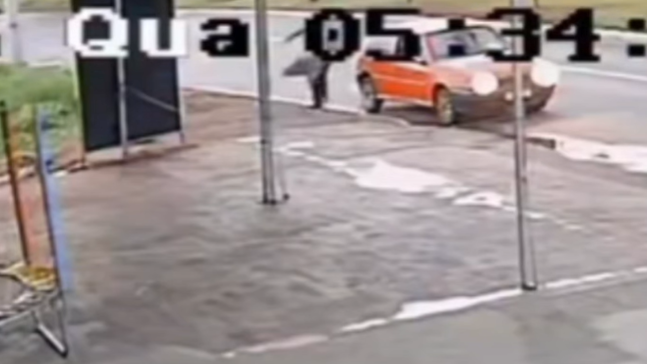 Vídeo: Homem abandona seis filhotes na Avenida Goiás Norte, em Goiânia