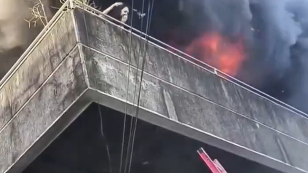 Heroína: Mulher se arrisca em meio a incêndio para salvar animais