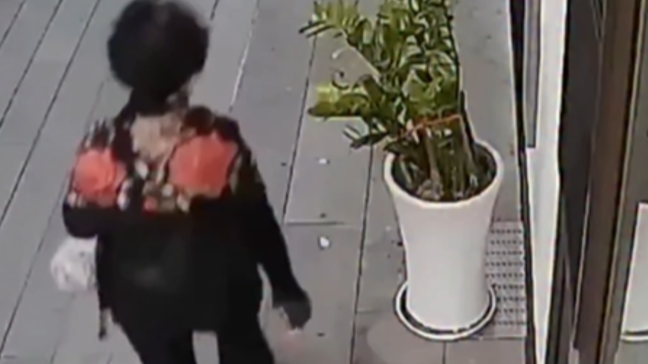 Câmera flagra ato inesperado de mulher contra vaso em calçada