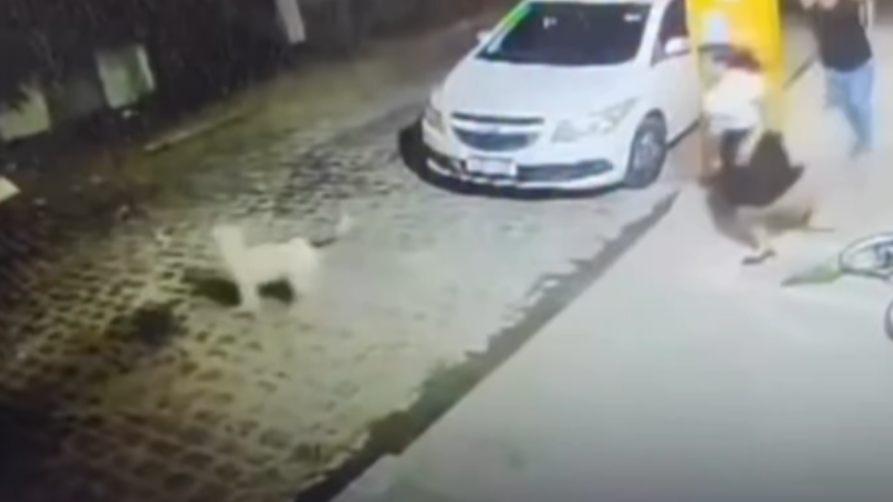 Feminicídio no sertão: mulher morre após golpes de foice do marido