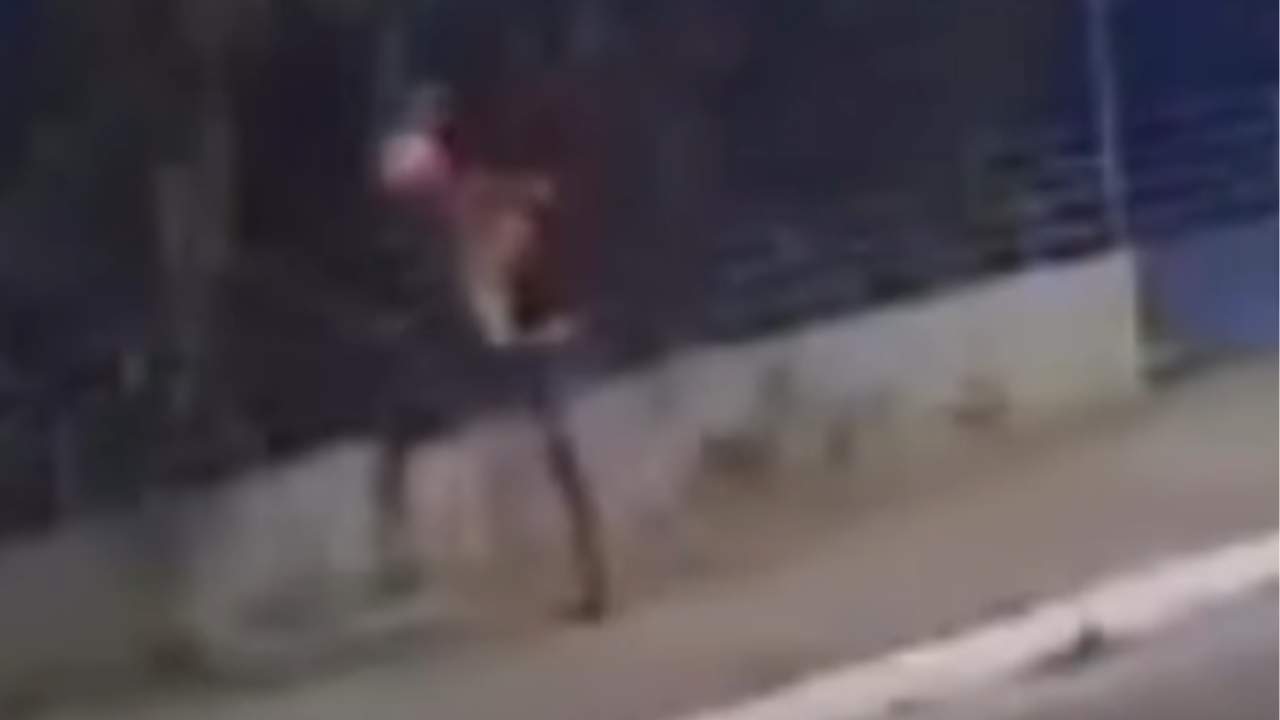Vídeo mostra momento em que mulher é morta a facadas em via pública