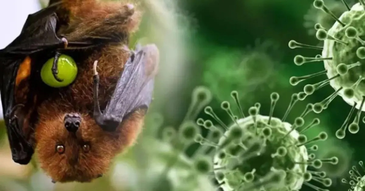 Surto de vírus Nipah na Índia leva aeroportos asiáticos a reforçar controles sanitários