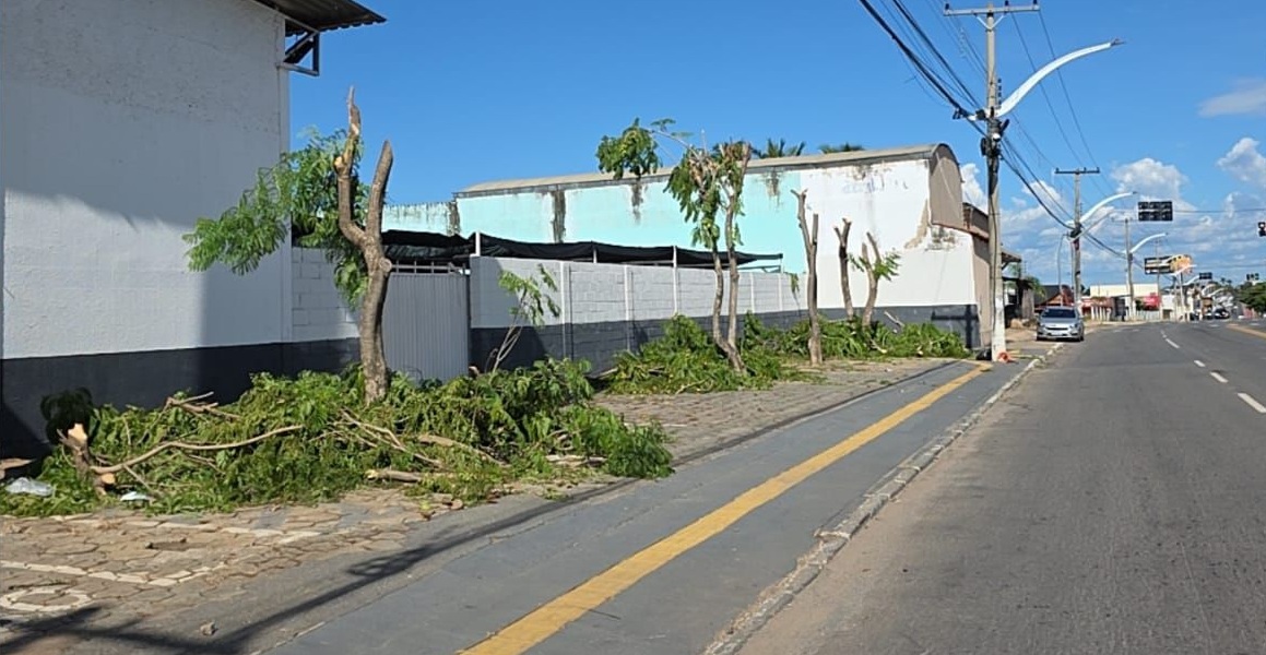 Semma e GCM apreendem caminhões da Equatorial usados na mutilação de árvores em Aparecida