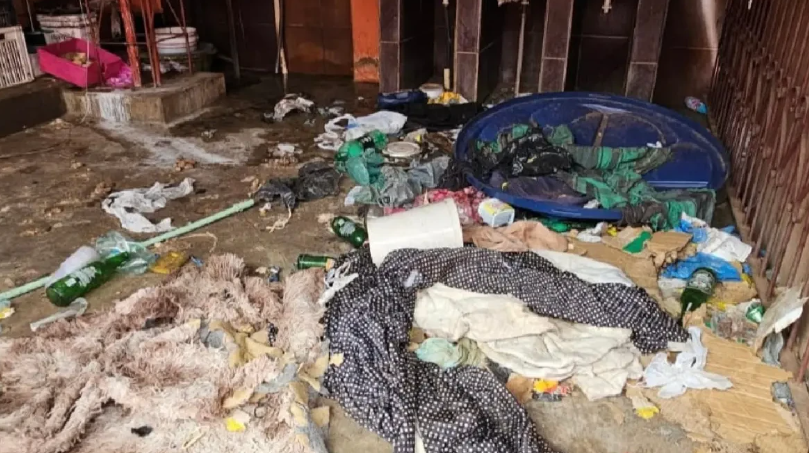 Polícia prende homem após resgate de cães em situação de abandono em Goiânia