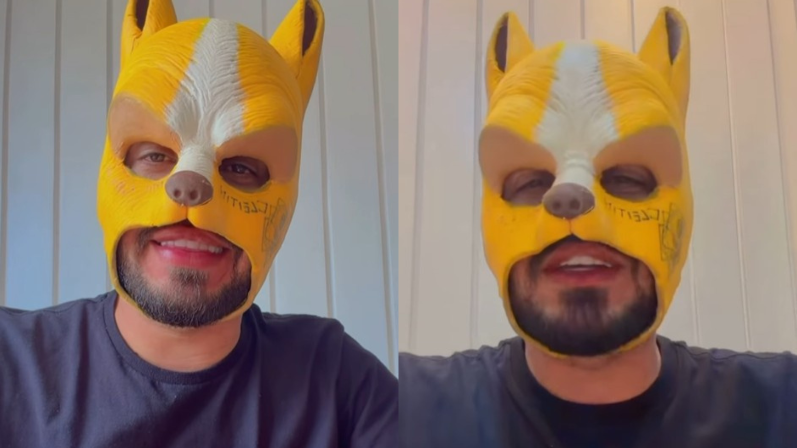 Corrupção plantada nos canteiros de Goiânia - Diário da Manhã - O Jornal do  leitor Inteligente