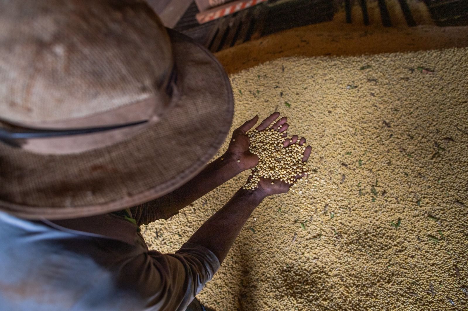 Goiás encerra 2025 com superávit de mais de US$ 8 bilhões na balança comercial