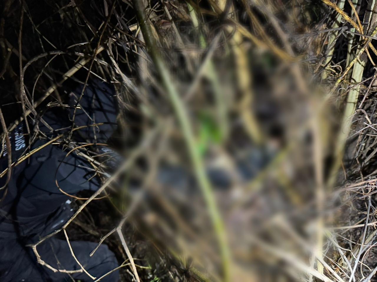Encontrado corpo de corretora que estava desparecida há mais de um mês