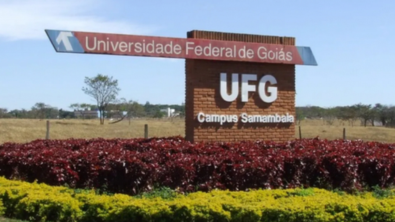 UFG abre inscrições para pós-graduação em Pedagogia com bolsa de R$ 3.200