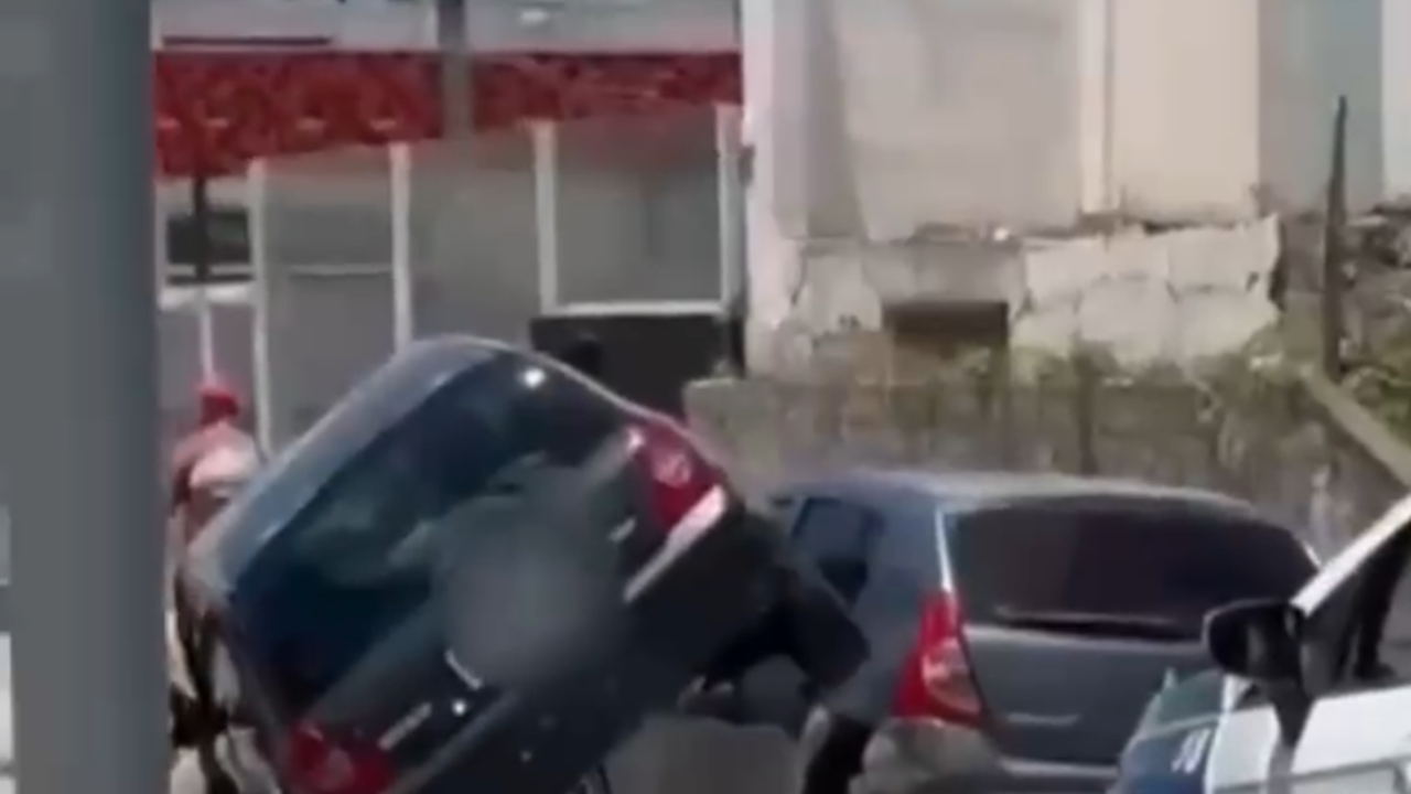 Vídeo: Cachorro descansa debaixo de carro após acidente