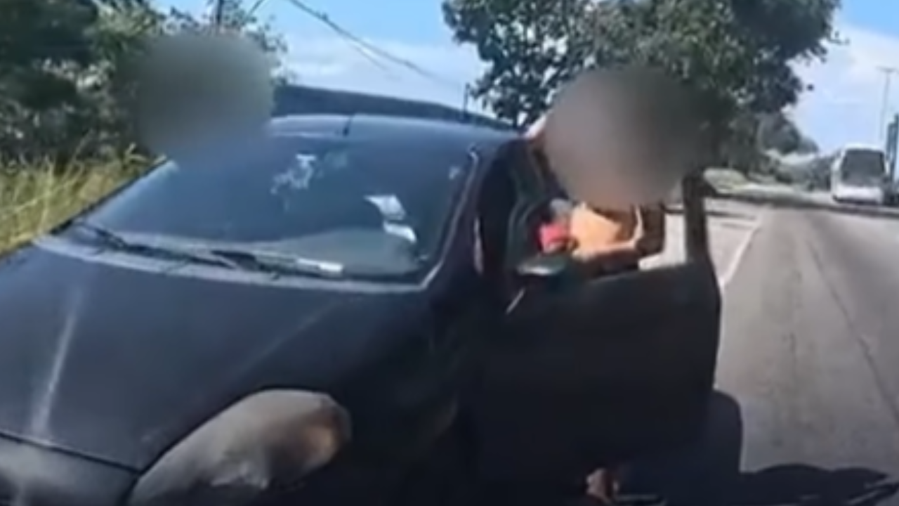 Mulher se desespera com barata em carro e causa alarme de “incêndio” em avenida