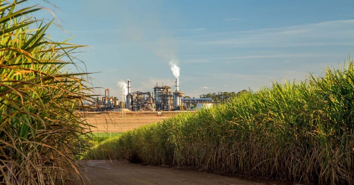 Goiás, segundo maior produtor de cana, pode ter risco na produção por questões climáticas
