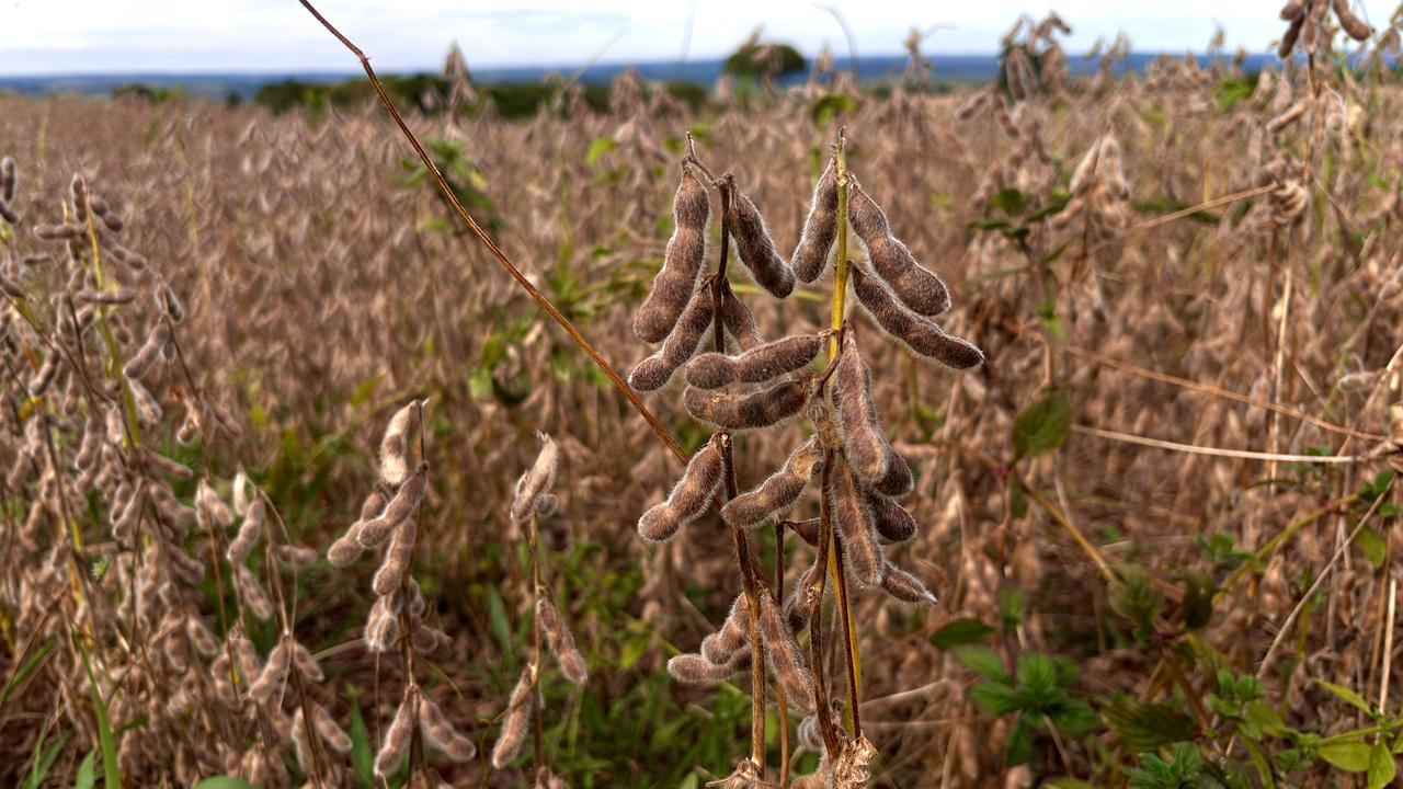 Goiás caminha para a segunda maior safra de grãos da história