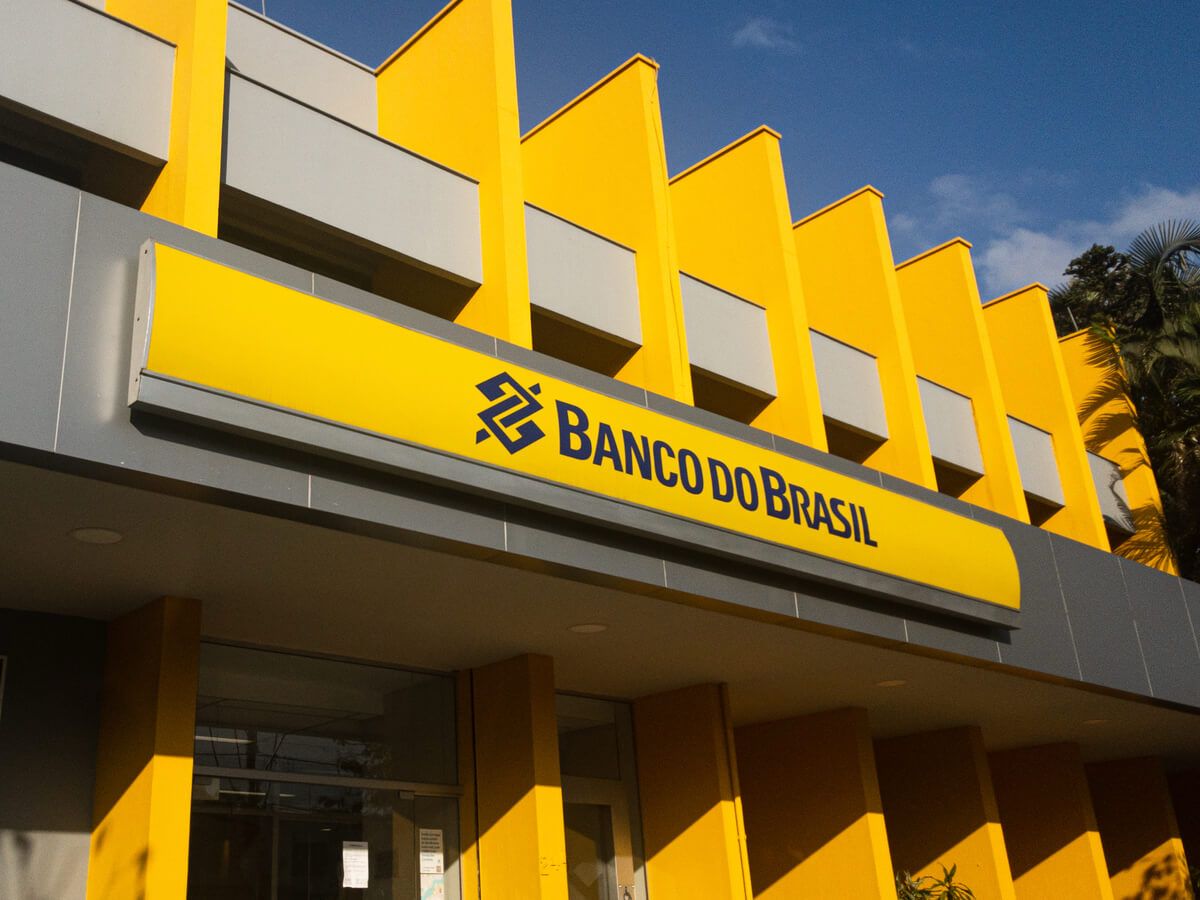 Plantação de maconha é descoberta em Fervedouro, MG