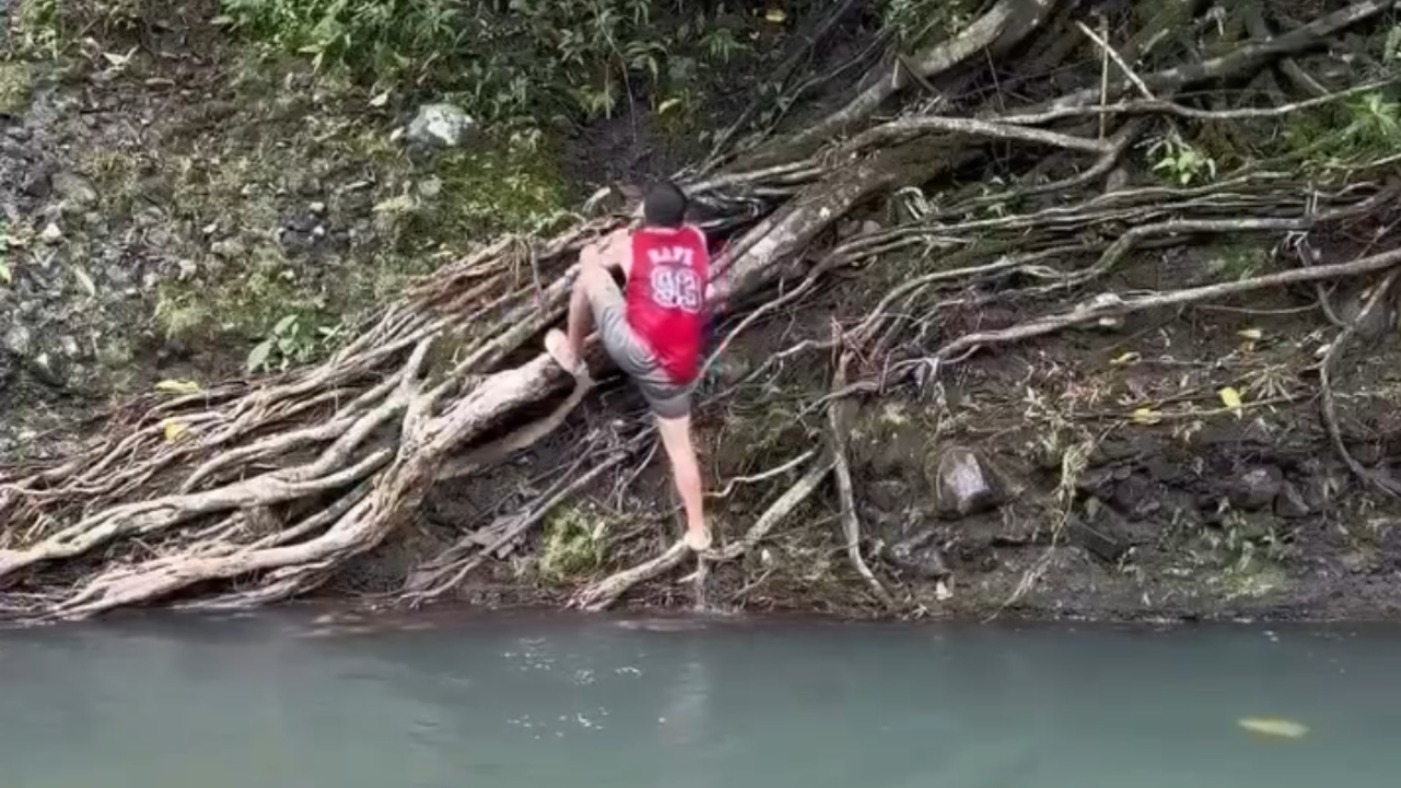 Homem é atacado por cobra ao subir margem de rio; veja vídeo