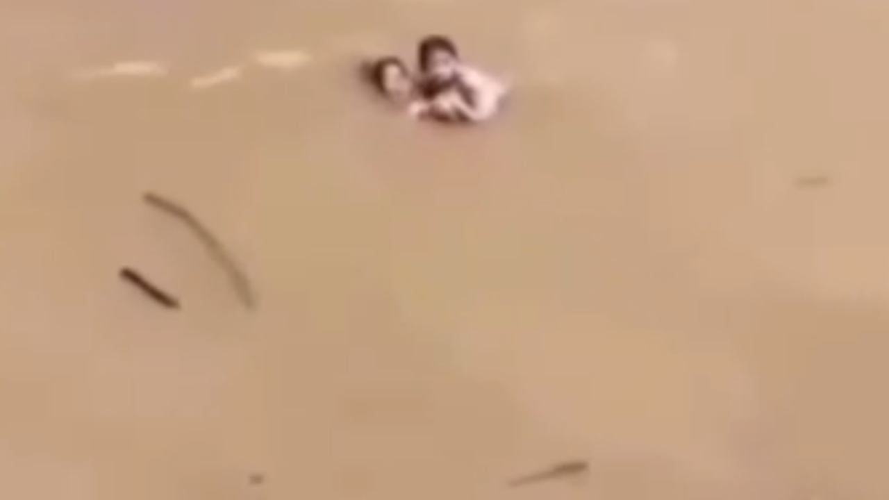 Tia luta contra correnteza e salva sobrinho durante naufrágio; veja vídeo