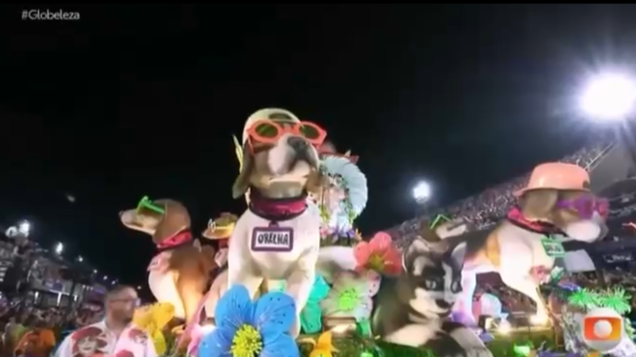 Mocidade homenageia Rita Lee e faz referência ao Cão Orelha na Sapucaí; assista vídeo