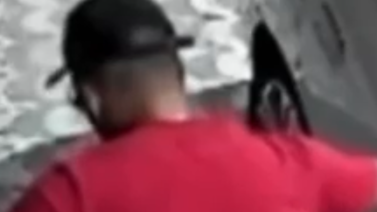 Jovem de 22 anos é morta pelo namorado após tentar fugir; assista ao vídeo