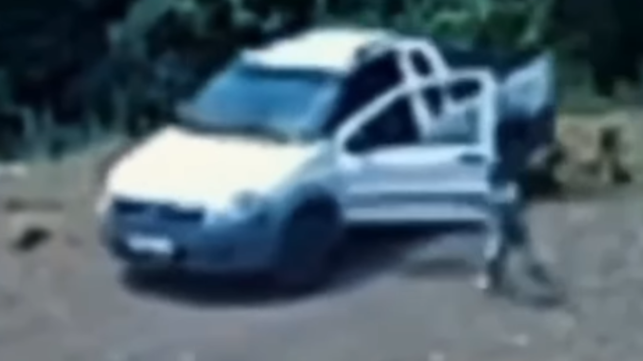 Vídeo: Irmãos gêmeos soltam freio de mão e carro desce barranco