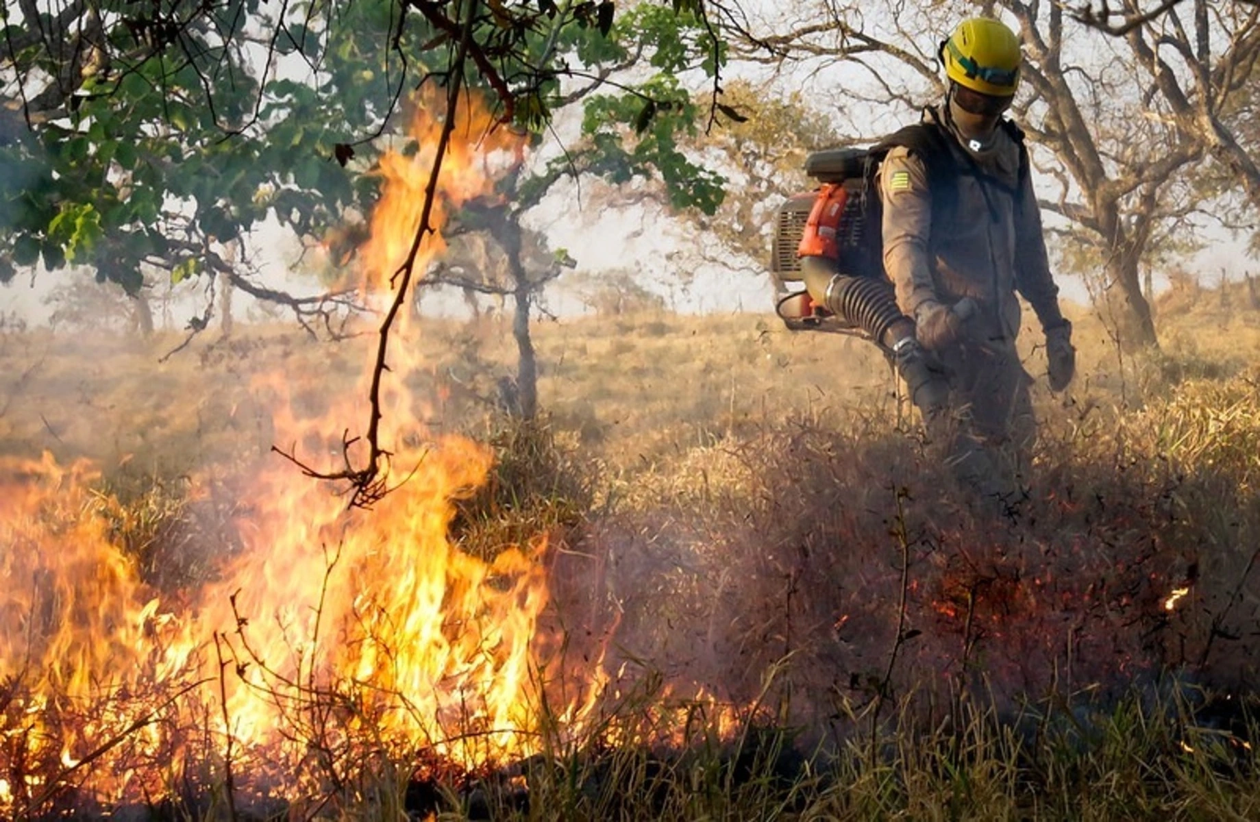 Área queimada em Goiás em 2025 equivale a oito vezes o tamanho de Goiânia