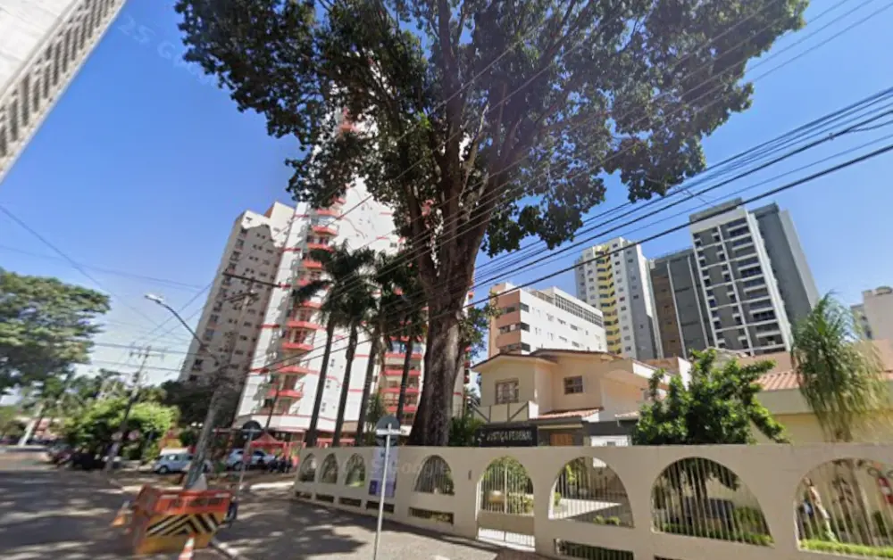 Entenda por que mogno de 70 anos derrubado em Goiânia ficará com família de polonês