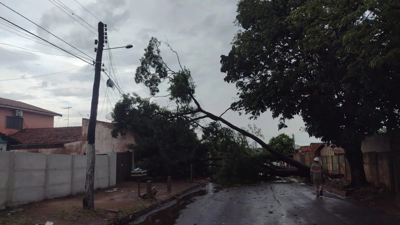 Goiás deve enfrentar temporais até domingo; distribuidora de energia dá dicas para evitar acidentes com eletricidade