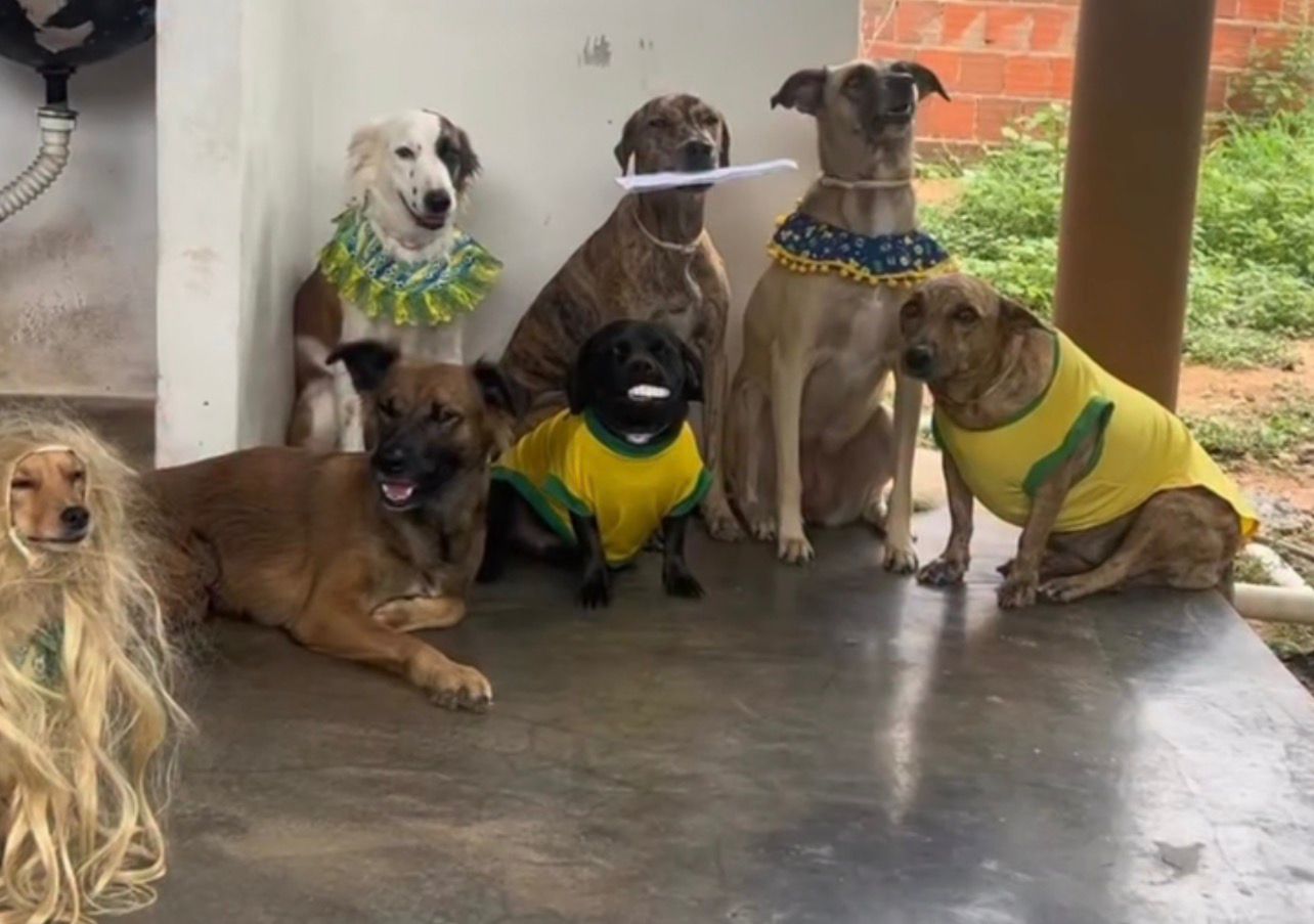 Torcedora convoca cães para a Copa do Mundo com nomes de jogadores da Seleção Brasileira