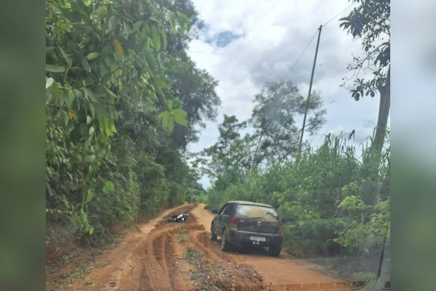 Homem morre após ataque de enxame de abelhas em Jordânia, no Norte de Minas Gerais