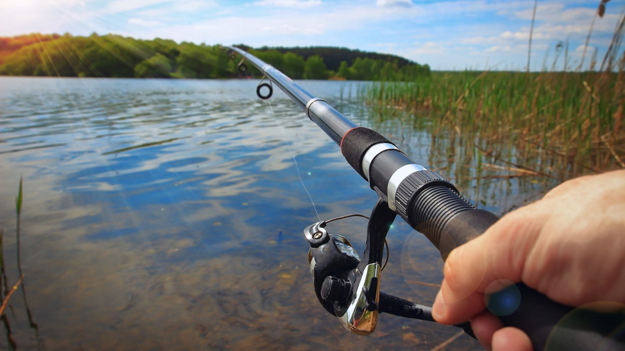 Jaraguá vai soltar 3 mil peixes no Lago da Passarela da Moda para pescaria aberta na semana santa
