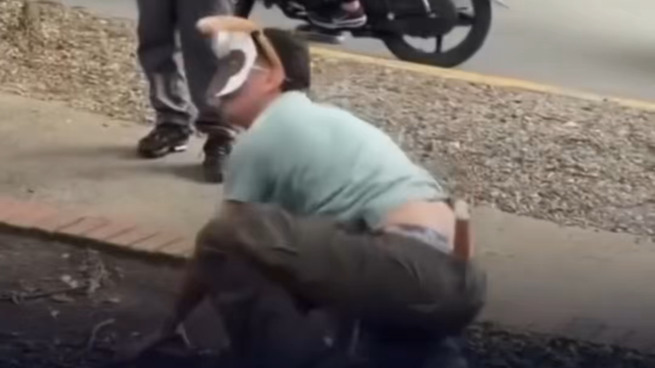 Vídeo: Grupo de Therians se reúne em parque e protagoniza momentos inusitados