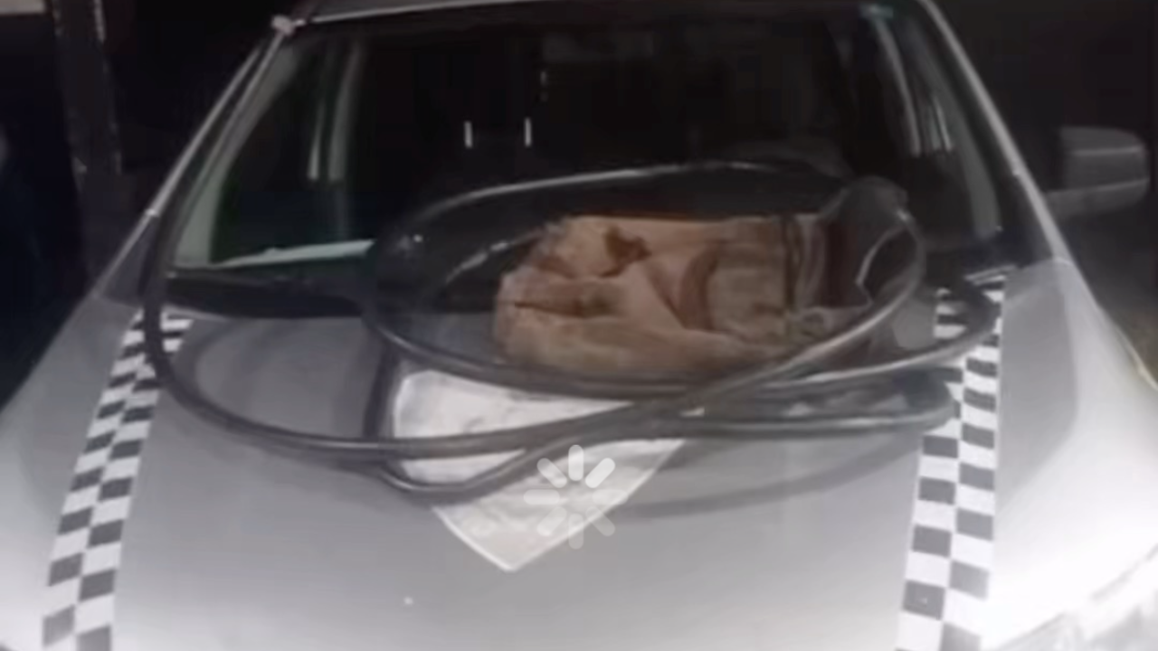 Homem é preso após furtar fios de cobre em avenida de Goiânia. Assista ao vídeo
