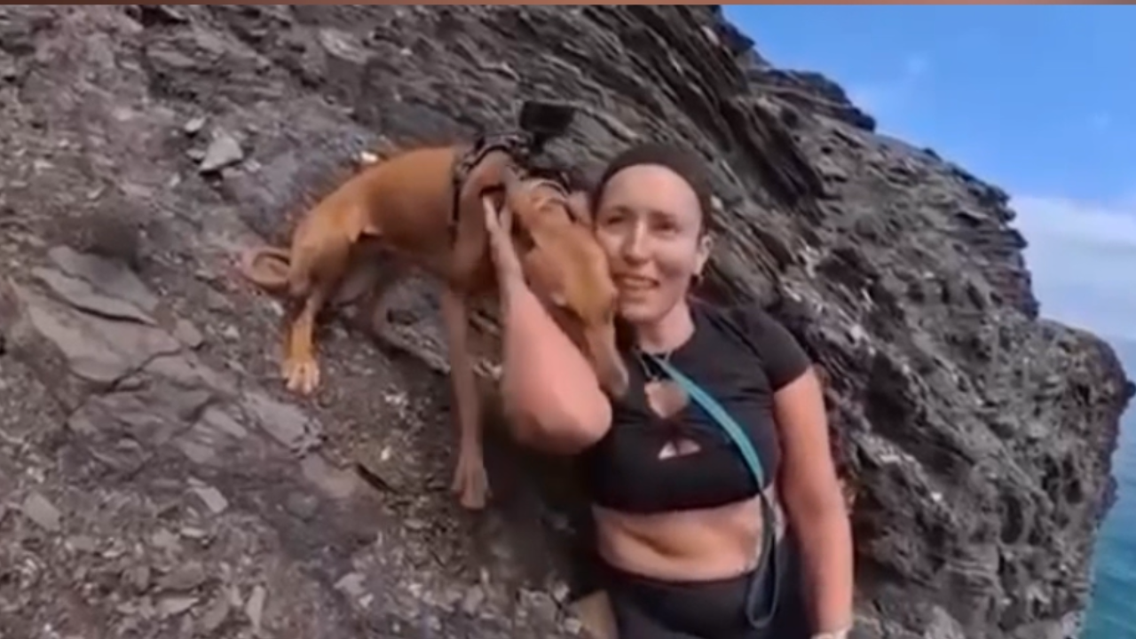 Ciclista escapa da morte ao cair de precipício e ser resgatada pela própria cadela; veja vídeo
